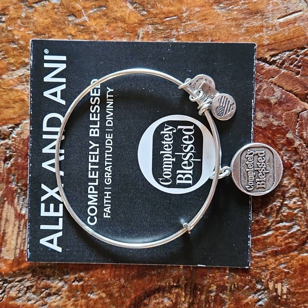 Alex And Ani Bangle Completely Blessed Bracelet Silver